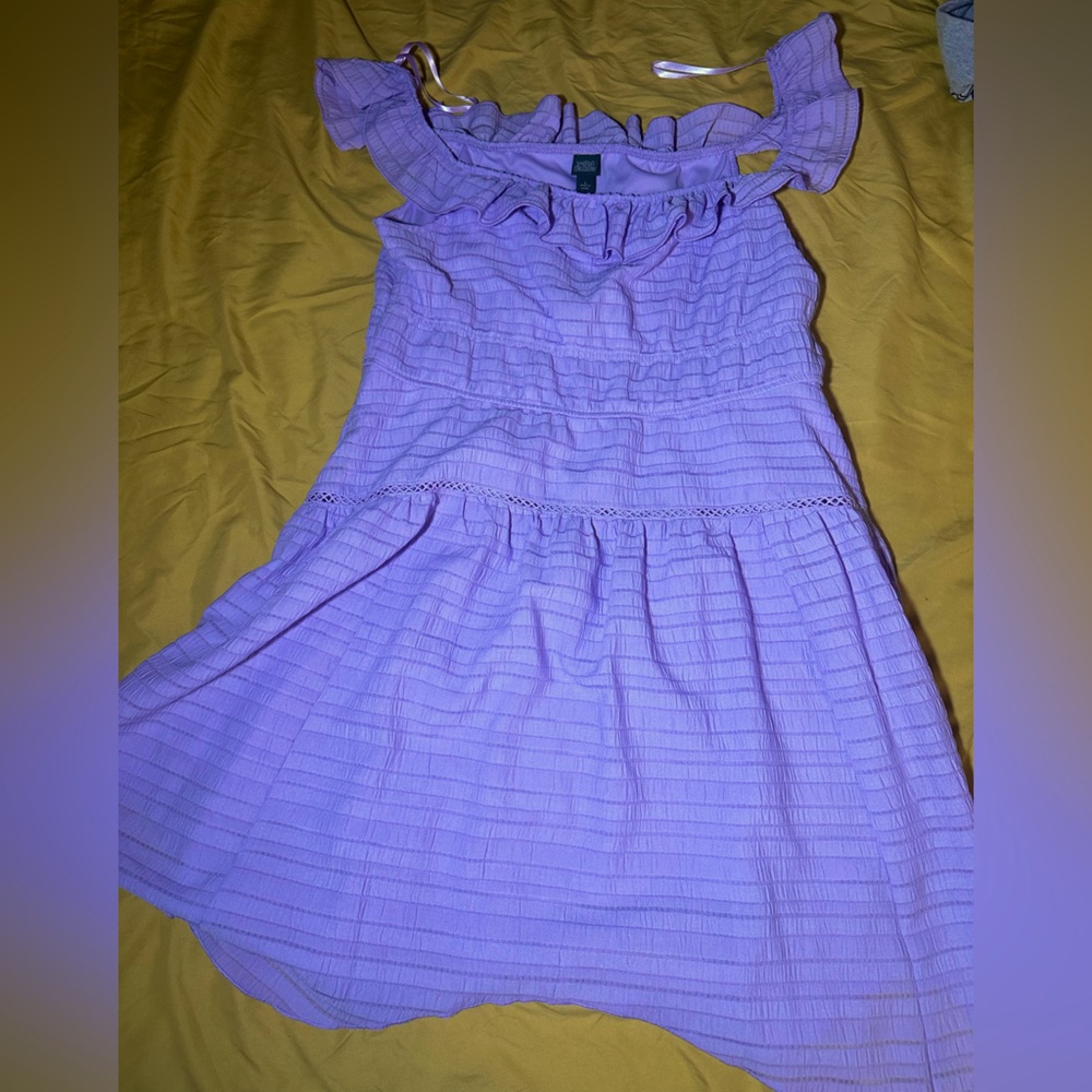 Wild Fable Lilac Ruffle Minidress